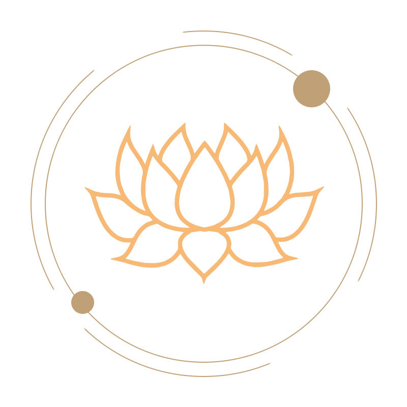 LOTUS-yxm