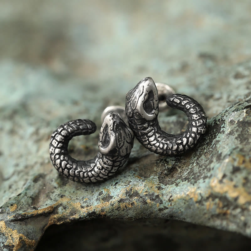 Buddha Stones 999 Sterling Silver Snake Texture Year Of The Snake Protection Balance Earrings