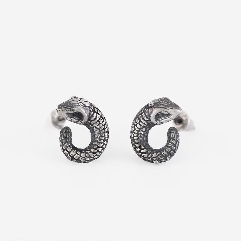 Buddha Stones 999 Sterling Silver Snake Texture Year Of The Snake Protection Balance Earrings