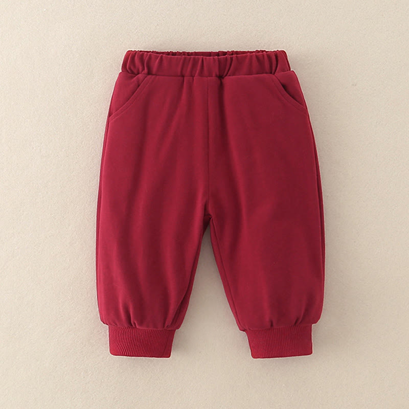 Buddha Stones 2Pcs Winter Rabbit Peach Design Baby Toddler Boy Cotton Long Sleeve Tang Suit Elastic Waist Pants With Pockets Outfit Sets - image 14