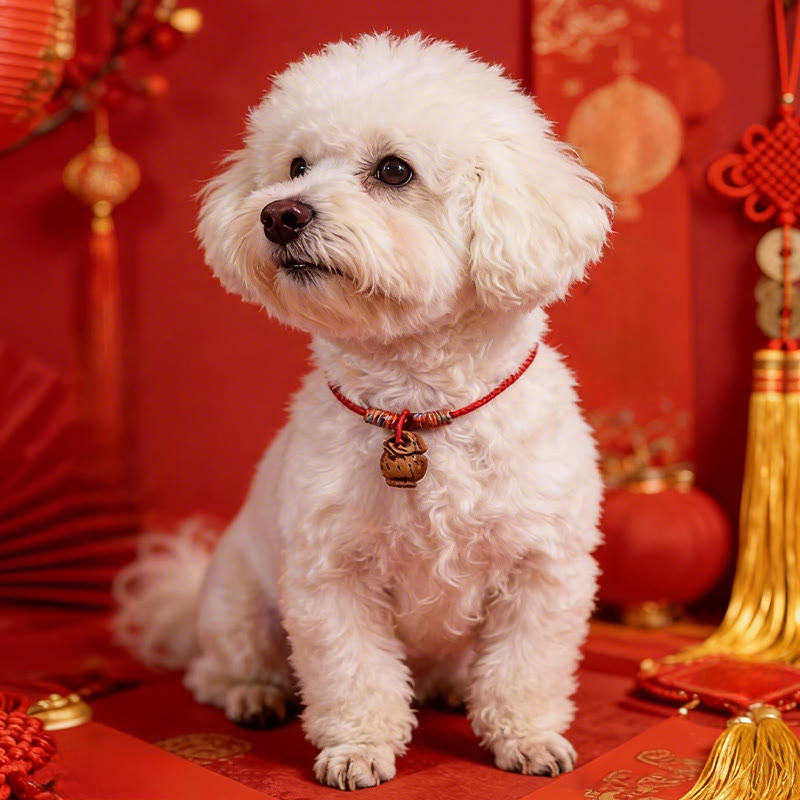 Buddha Stones Plaited Peach Pit Red String Strength Adjustable Cats Dogs Pet Collar - image 13