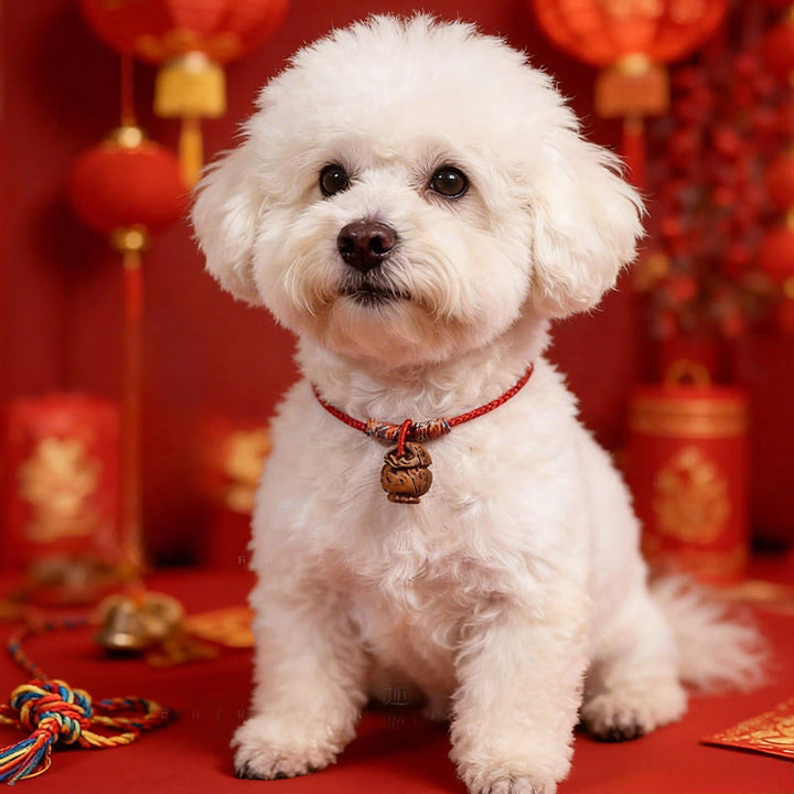 Buddha Stones Plaited Peach Pit Red String Strength Adjustable Cats Dogs Pet Collar - Red - 50-65cm - image 0