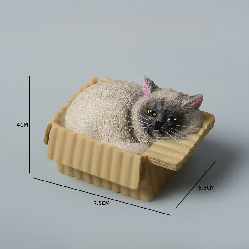 Buddha Stones Painted Sleeping Cat in Paper Box Resin Cute Animal Decor - Siamese - image 13