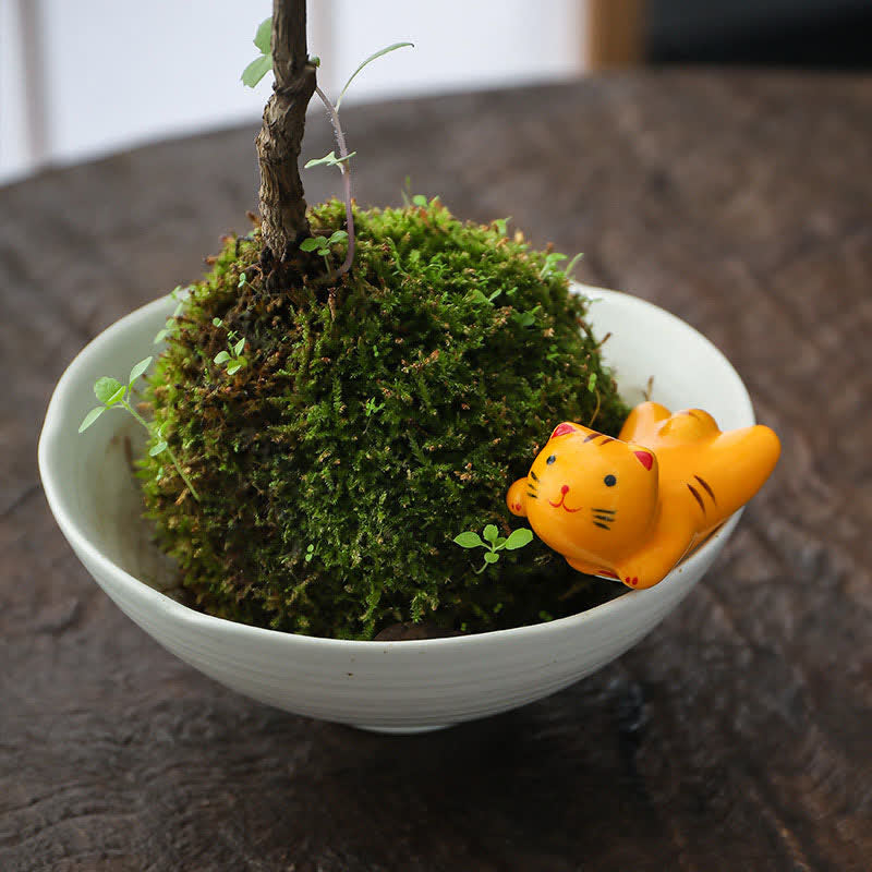 Buddha Stones Hand-Painted Small Cute Cat Ceramic Chopstick Holder - image 12