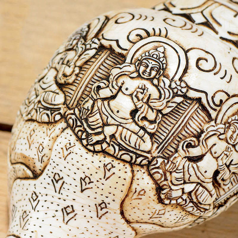 Tibetan Handmade Engraved Shankha Buddha Avalokitesvara Conch Shell Wealth Decoration - image 23