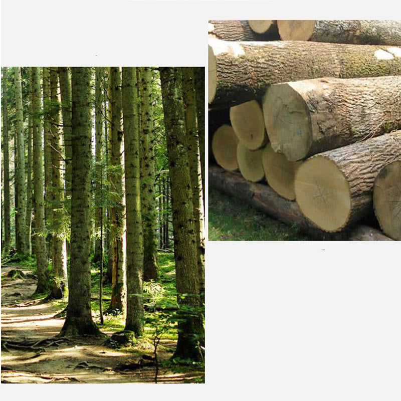 Buddha Stones Handcrafted FengShui Wealth Luck Frog Mini Wooden Croaking Frog Guiro Decoration - image 16