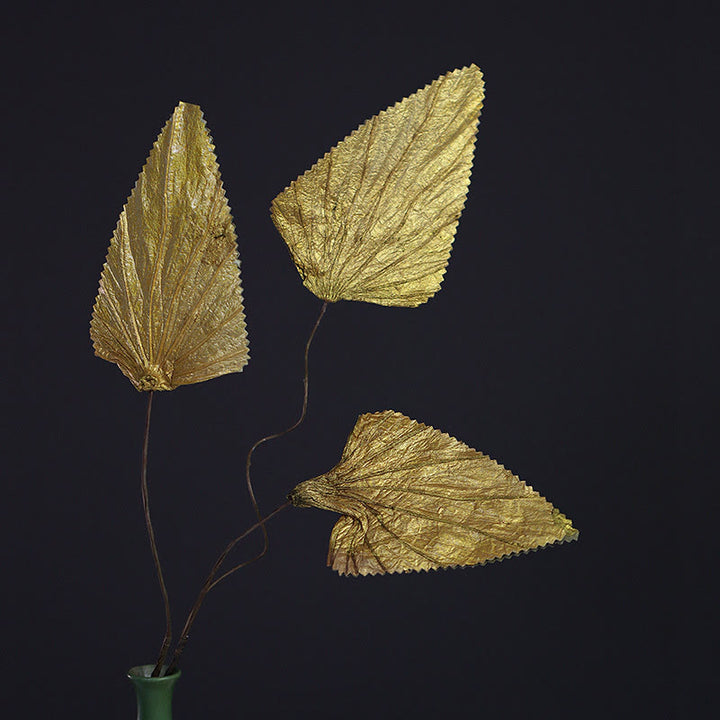 Natural Dried Triangle Lotus Leaf Stemmed Plant Bouquet Home Decoration Ornaments - 10 Gold Leaves - image 4