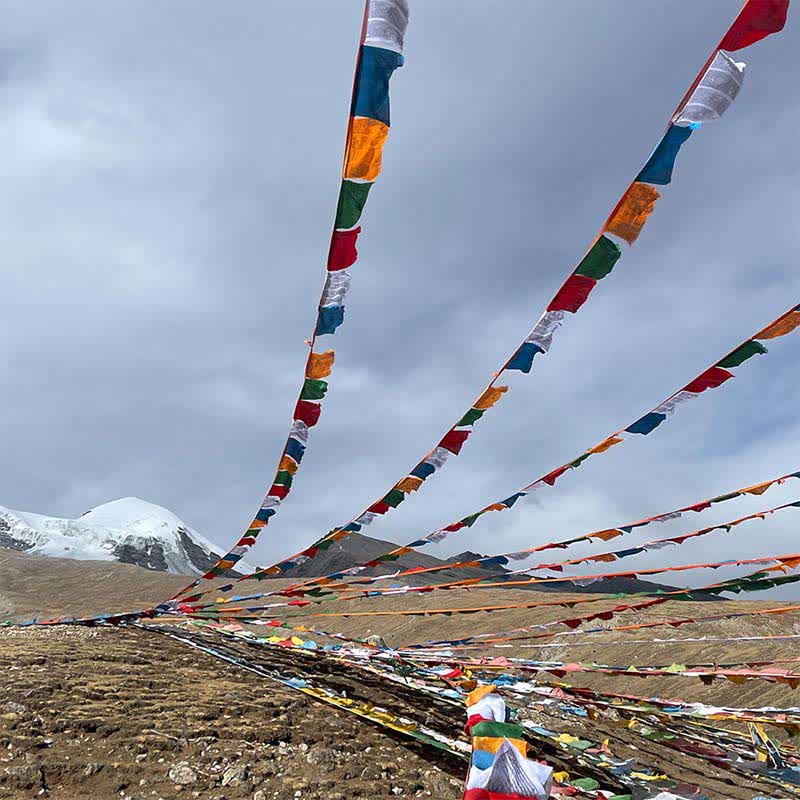 Tibetan 5 Colors Silk Windhorse Auspicious Outdoor 25 Pcs Prayer Flag