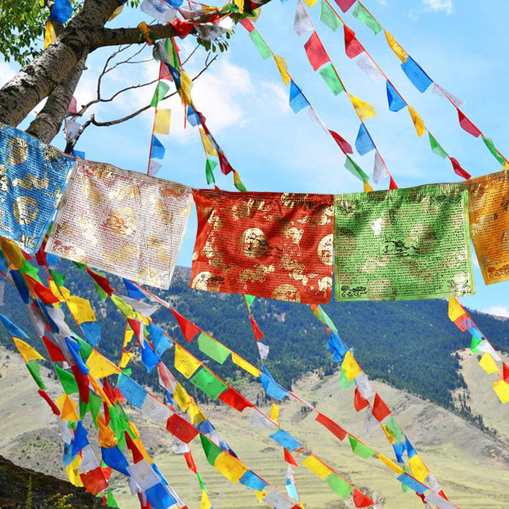 Tibetan 5 Colors Windhorse Blessing Dragon Pattern Outdoor 20 Pcs Prayer Flag Decoration