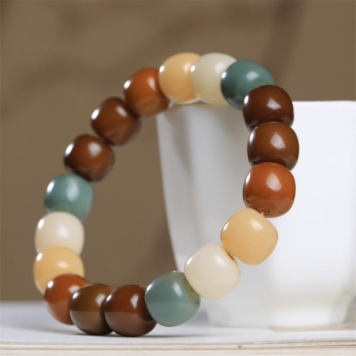 Buddha Stones Multicolored Bodhi Seed Keep Away Evil Spirits Bracelet