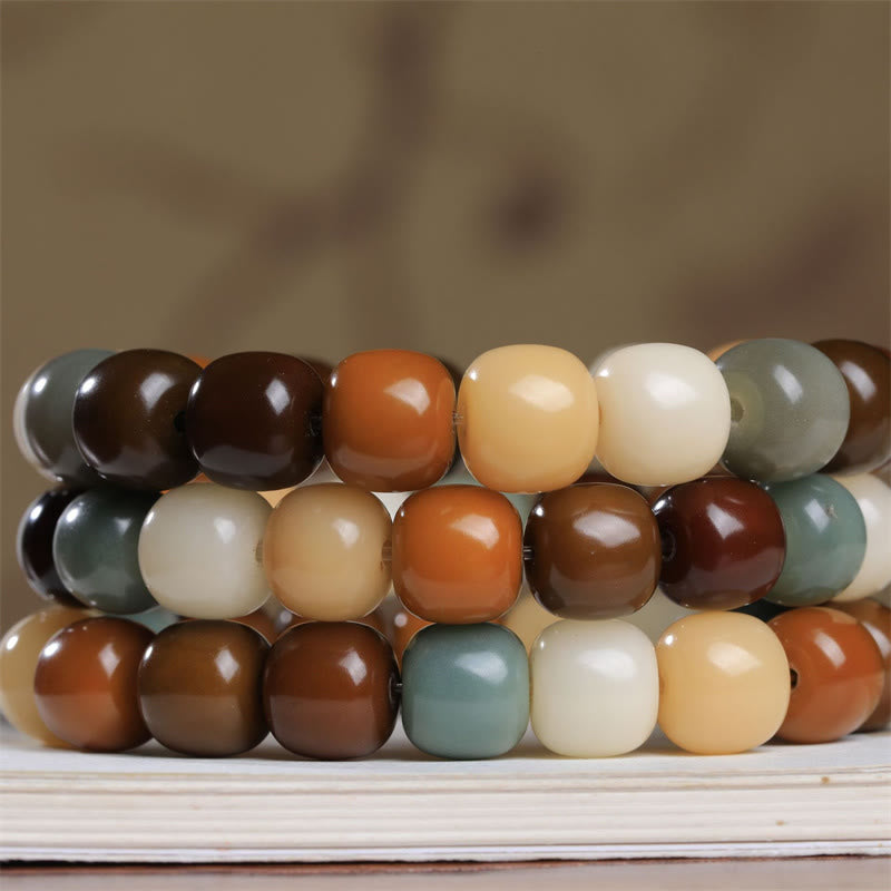 Buddha Stones Multicolored Bodhi Seed Keep Away Evil Spirits Bracelet