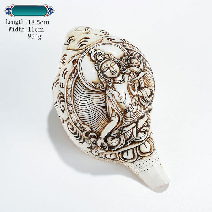 Tibetan Handmade Engraved Shankha Buddha Avalokitesvara Conch Shell Wealth Decoration